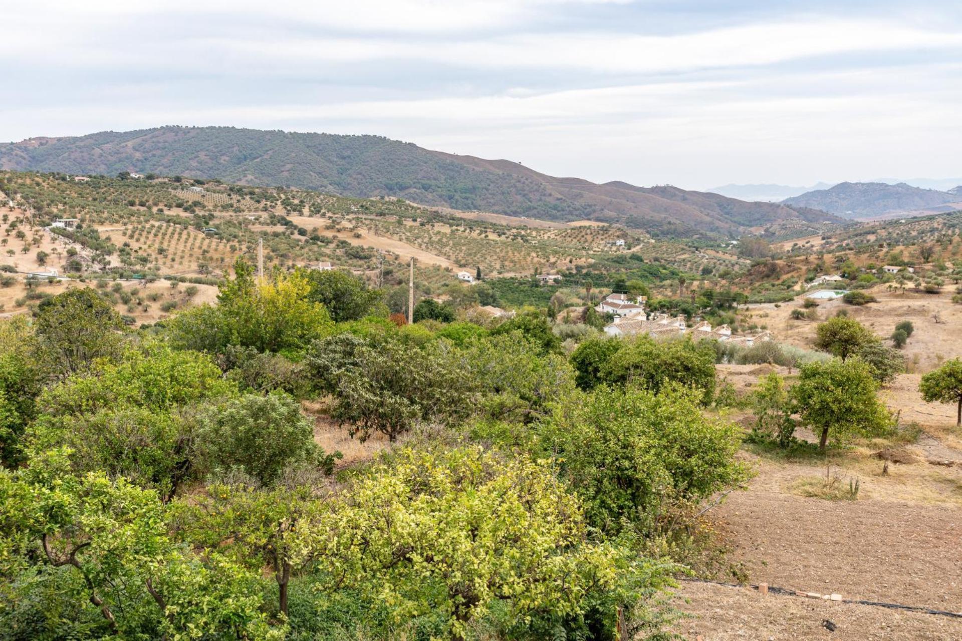 Malagasuite Cortijo Robles Casarabonela Buitenkant foto