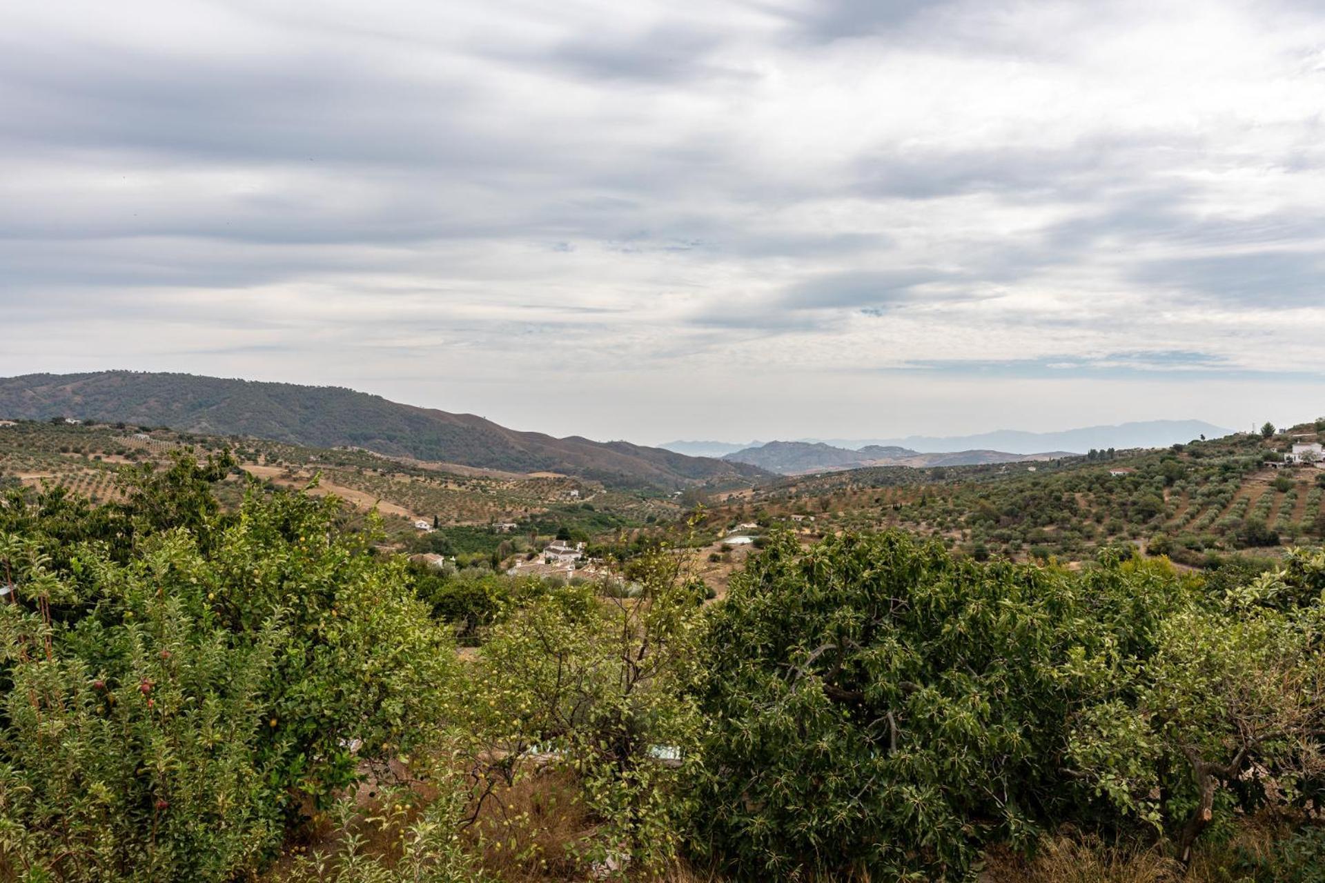 Malagasuite Cortijo Robles Casarabonela Buitenkant foto